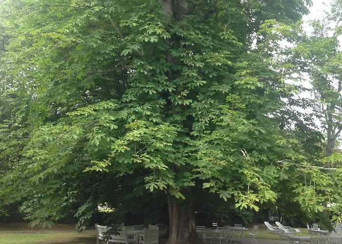 La Portilla Hotel Comillas